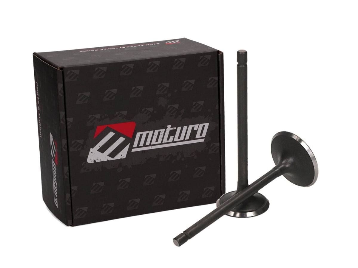 Moturo exhaust valve for Shineray Bashan BS250S-11 ATV Quad