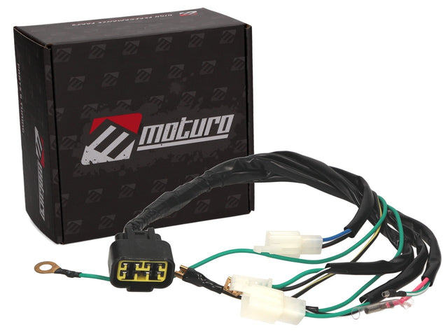 Moturo complete wiring harness for Lifan 150cc