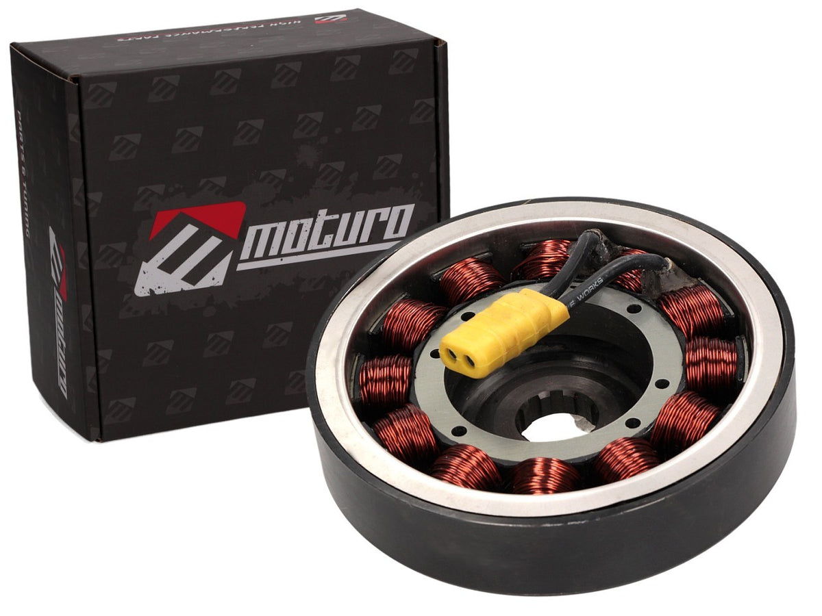 Alternateur Moturo pour Harley Davidson Big Twin